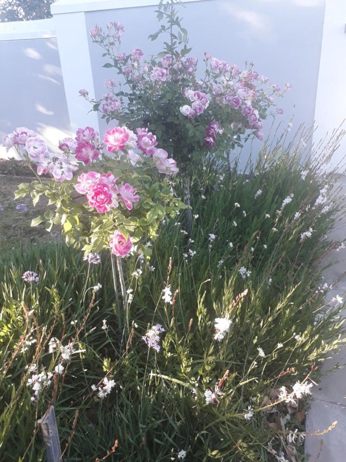 The Fancy Cactus Apartment Colesberg Luaran gambar